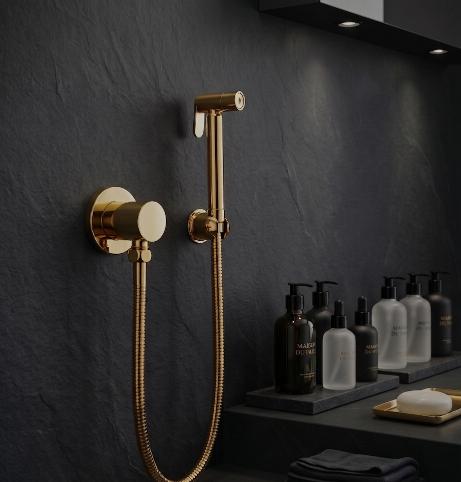 Toilet Shower Set