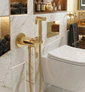 Gold Chrome: Luxury gold chrome concealed toilet shower mixer valve for hidden luxury bathroom setup, MHT PAK.